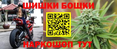 СК Ярославль