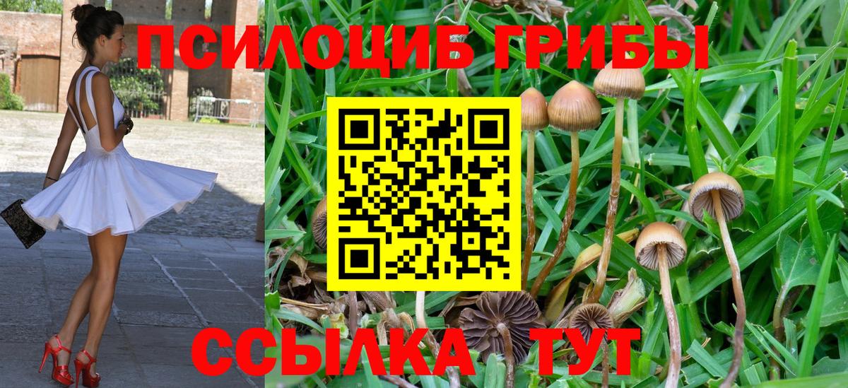 Владикавказ  Галлюциногенные грибы Magic Shrooms  Вход с VPN 