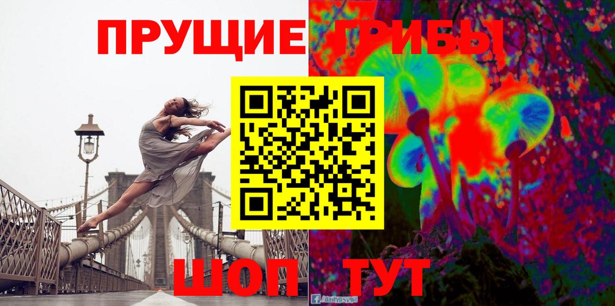 Псилоцибиновые грибы GOLDEN TEACHER Владикавказ